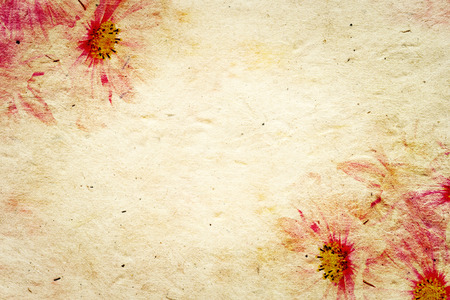 romantic elegance flower paper background, texture for your messageの写真素材