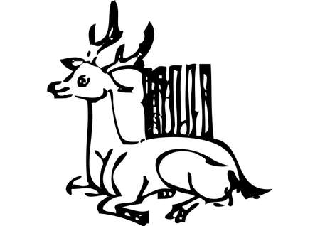 deerのイラスト素材