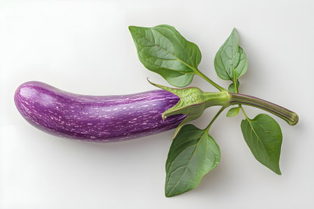 A close-up photo of a single, elongated purple eggplant with a smooth, shiny skin and a green stalk. It rests on a plain white surfaceの素材