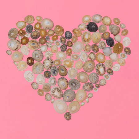 Hip heart shaped arrangement of natural colors seashells from West Irish coast from Atlantic ocean. Flat lay pastel pink color background.の写真素材