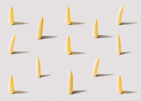 Minimal pattern of organic natural baby corn. Concept made of combination of yellow with optimistic gray background colors of 2000.の写真素材