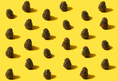 Minimal pattern of organic natural fresh blackberries fruits. Arrangements on optimistic yellow...