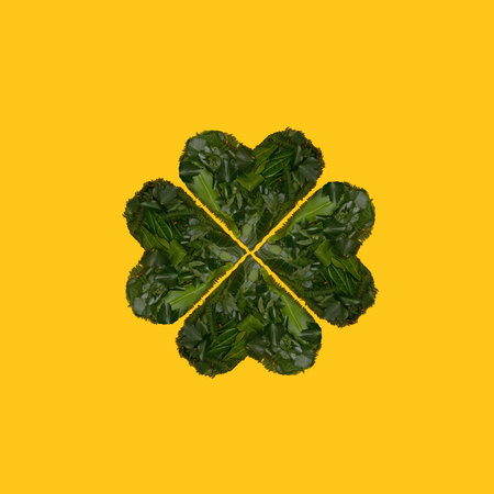 Minimal lucky shamrock arranged from hearts formed of fresh green leaves from Irish woods. Clover...