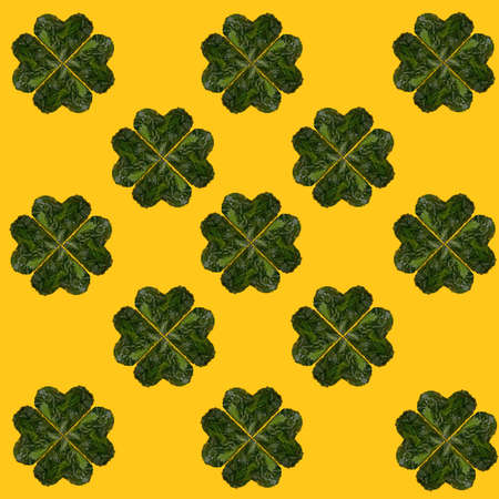 Pattern created of minimal lucky shamrock arranged from hearts formed of fresh green leaves from Irish woods. Clovers shape leaves are against optimistic yellow background from flat lay.の写真素材