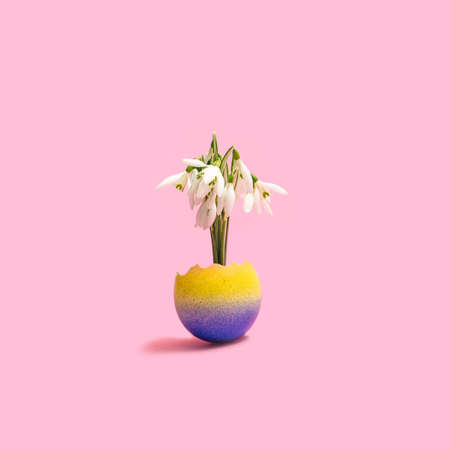 Eastern concept. A bouquet of fresh spring natural snowdrops in rainbow egg shell against pink background.の写真素材