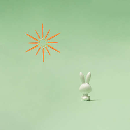 Spring concept for Eastern. A rabbit sitting and staring in pastel green distance. Photo of bunnyâs back. Carrots on the top.の写真素材