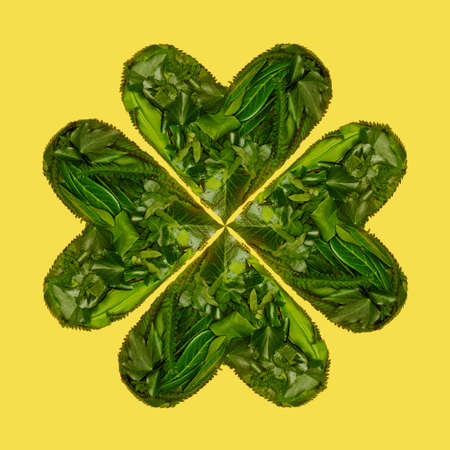 St Patrick holiday concept. A minimal lucky shamrock arranged from hearts formed of fresh green leaves from Irish woods against yellow background from flat lay.の写真素材