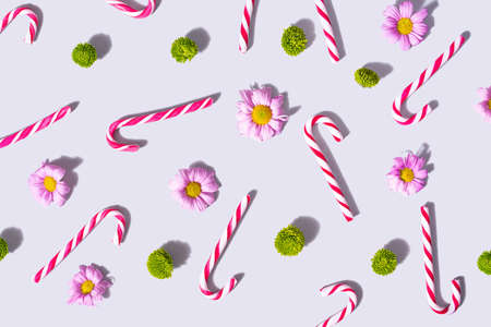 Pattern arrangment of red and white striped candy canes with lovely pink daisies and fresh green zinnia flower. Top view on a light gray background.の写真素材
