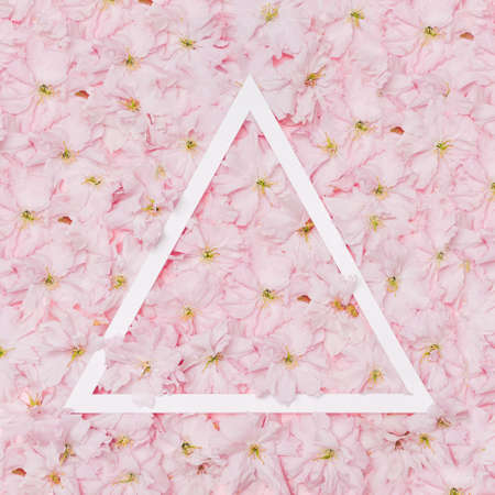 A triangle shape frame created on cherry blossom with creative copy space. Flat lay arrangement.の写真素材