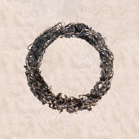 Dry natural Atlantic seaweed circle frame on sandy beach background. Flat lay arrangement with...