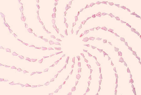 Unique concentric swirling shape made of japanese cherry blossom petals. Flat lay arrangement...
