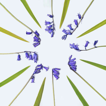 Circular frame made of fresh natural african lilies  with flat lay arrangement on splendid gray background. Copy space.の写真素材