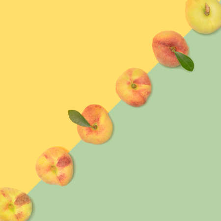 Lovely fresh organic flat peaches aligned in diagonal against pastel warm yellow and pistachio green background. Flat lay composition.の写真素材