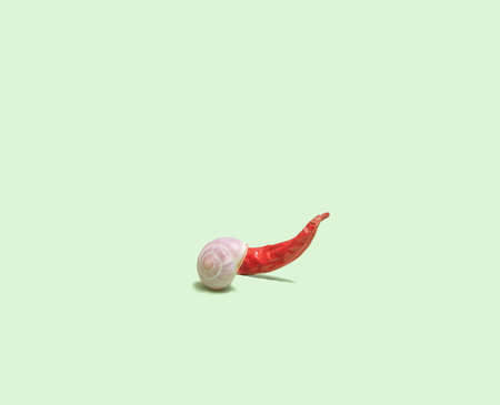 Abstract minimal snail shell and bird's eye chilli concept. Modern arrangement against pastel green background.の写真素材
