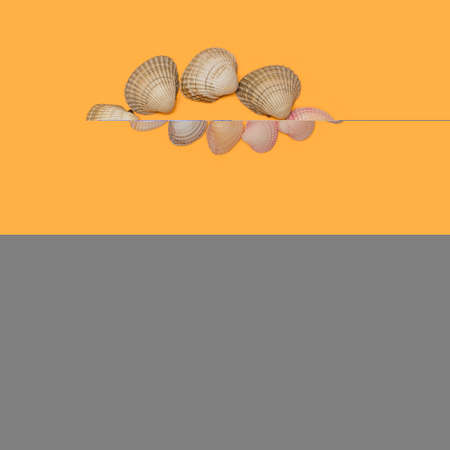 Swirl arrangement created of various colors and shades of seashells on warm orange background. Flat...