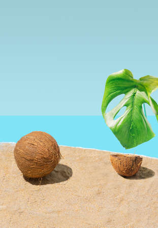 A fresh coconut and natural monstera leaf water drops falling in half of coconut on sandy beach, concept for vacation. Tropical carribian vibe.の写真素材