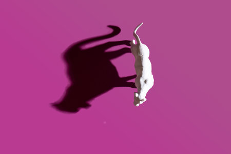 A white tiger toy with a summer shade and warm purple background. Flat lay arrangementの写真素材