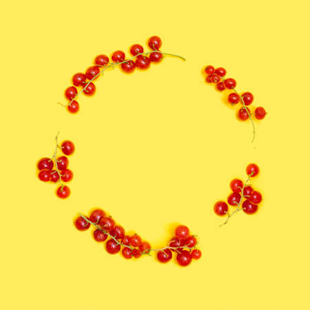 Creative circle made of fresh organic red currant on yellow background. Flat lay arrangement.の写真素材