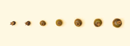 From very little to bigger line of dry pomegranate aligned against beige background. Minimal flat...