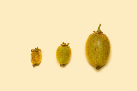 Three whole kiwi fruits in different development phases. Concept for maturing of fruits.Top view...