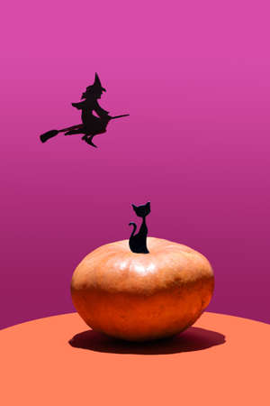 Halloween concept made of flying black witch and fresh organic pumpkin with black cat on it. Vivid purple and terracotta creative background.の写真素材