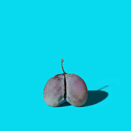 Twins fruit concept. Dark blue organic fresh twin plum against bright blue background.の写真素材