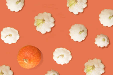 Organic fresh patty pan squash made pattern. Minimal flat lay arrangement terracotta backgroundの写真素材