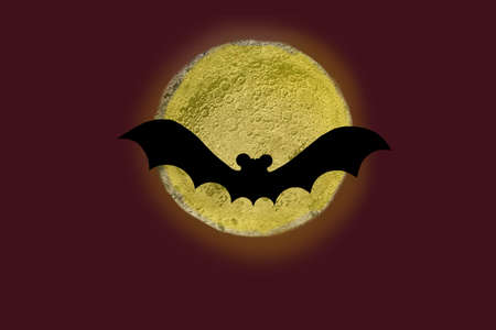Mystery and glow moonlight night terrifying arrangement. A bat flying against full magic moon....