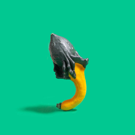 Creative unique upside down gourd veggie against bright green background. Minimal arrangementの写真素材