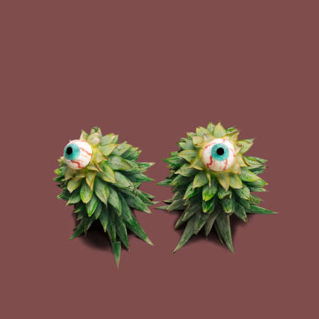 Spooky creative concept. Two scary candies on top of pair of pineapple leaves. Copy space with dark...