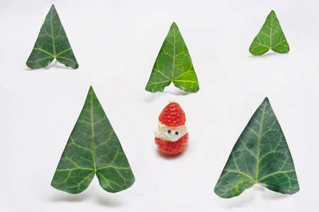Strawberries and cream winter season concept.  Five leaves triangle shaped against snow white backgroundの写真素材