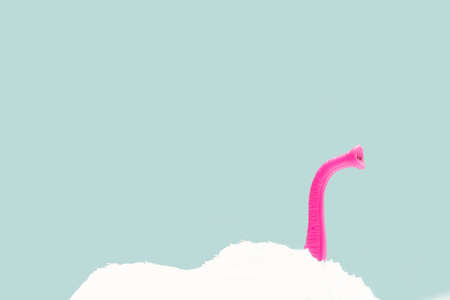 Cover up inspired concept. Pink elephant trunk stand out from big white snow surface. Minimal light...