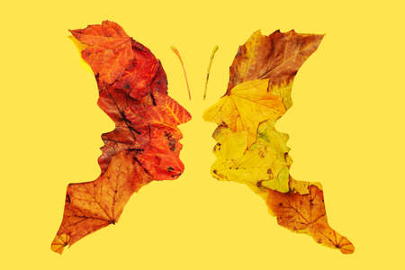 Psychology and optical illusion abstract concept four faces butterfly image. Flat lay arrangement of...