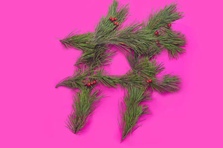 Symbol from social networks made of beautiful and fresh pine tree branches inspired concept. Flat lay minimal arrangement against bright mangenta background.の写真素材