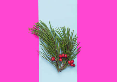 Festive christmas inspired concept. Branch of fresh pine trees with few red berries against white...