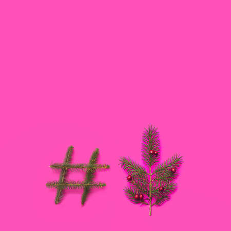 Symbol for follow topic inspired concept. Few fresh pine branches nicely arranged. Creative copy space, flat lay against  bright purple background.の写真素材