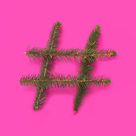 Symbol for follow topic inspired concept. Few fresh pine branches nicely arranged. Flat lay against purple background.の写真素材