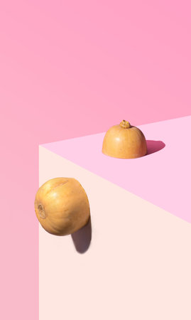 .Organic fresh butter squash seats on the corner of the table. Pastel coral, pink and beige background. Still life abstract concept.の写真素材