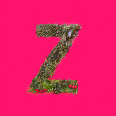 Festive, winter, Christmas season natural pine, holly branches, red berries, unique collection of letters, numbers and symbols. Letter Zの写真素材