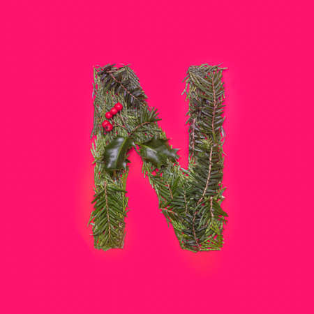 Festive, winter, Christmas season natural pine, holly branches, red berries, unique collection of letters, numbers and symbols. Letter Nの写真素材