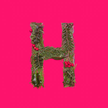 Festive, winter, Christmas season natural pine, holly branches, red berries, unique collection of letters, numbers and symbols. Letter Hの写真素材