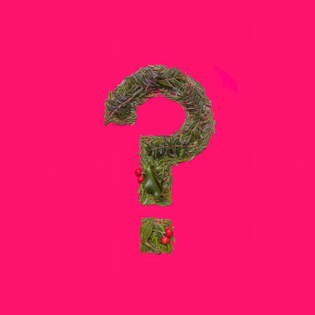 Festive, winter, Christmas season natural pine, holly branches, red berries, unique collection of letters, numbers and symbols. Question mark punctuation symbolの写真素材