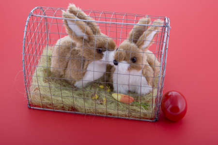 Easter Bunny