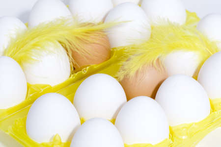 Organic eggsの写真素材