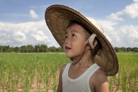 Portrait Asian child in the paddy fieldの写真素材