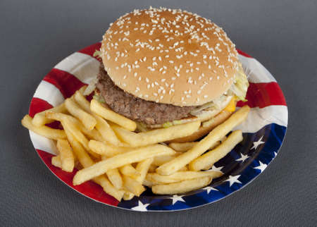 Hamburger on paper plate america styleの写真素材