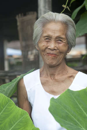 Portrait old Asian womanの写真素材