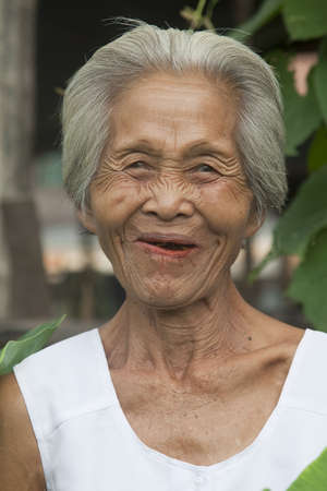 Portrait old Asian womanの写真素材