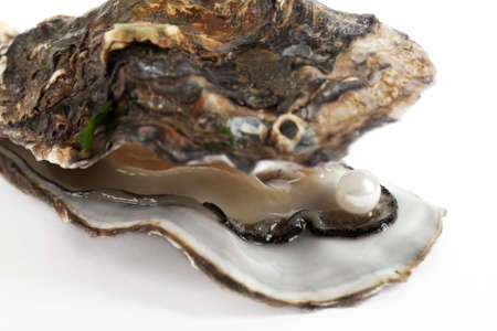 Oyster with pearlの写真素材