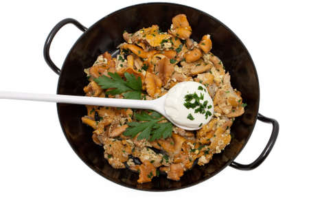 Mushroom food with chanterellesの写真素材